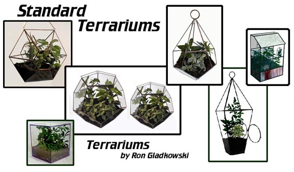 Terrariums by Ron