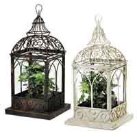 Bargain Terrariums